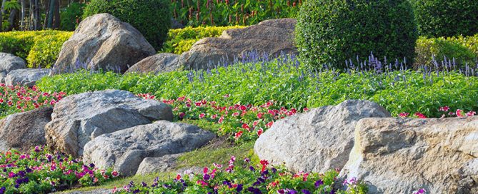 Decorative garden in the parks