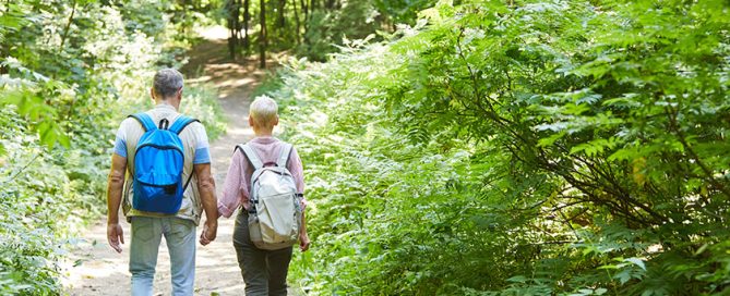 Rear view of senior couple with backpacks holding hands and walking in nature in the forest, adventure trip