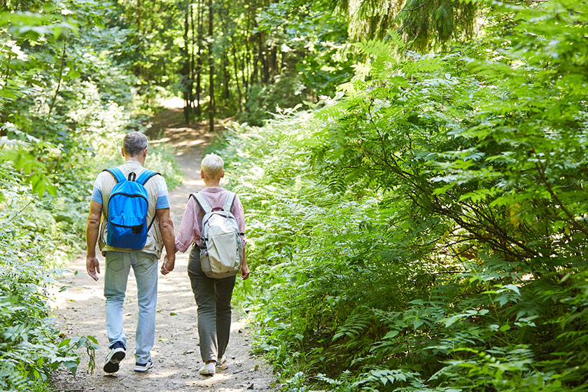 Rear view of senior couple with backpacks holding hands and walking in nature in the forest, adventure trip